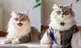 custom noble aristocratic pet portraits for your beloved pets