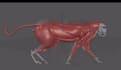 rig your 3d character professionally in blender and maya