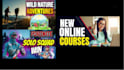 create eye catching youtube thumbnail designs