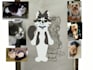 let me illustrate your pet