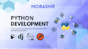 python based scripts, bots, automation, apps