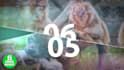 create a dynamic video and photo slide show