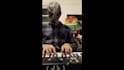 record guitar bass keys and programmed drums for your song