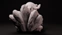 sculpt you characters in zbrush for 3d printing