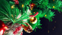 create christmas tree intro logo animation video