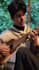 play and record charango or ronroco for you