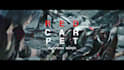 create a professional motion graphic video