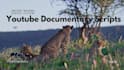 write documentary deeply researched video scripts