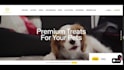 build pet shopify store setup pet website design dog cat shopify store redesign