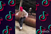 create fire tik tok dance video on your song