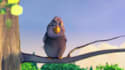 install ffmpeg mp4box flvtools and other all video codecs
