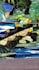 draw the photo into stained glass art