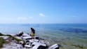 create an awesome video using your phone, gopro or drone files