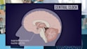 create an interactive scientific powerpoint for research, funding, or teaching