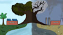 2d animation or cartoon video