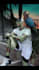 create an animated alien or zombie version of you