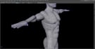 do 3d modelling  , organic or inorganic