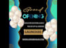 do birthday, website launch or grand opening flyer