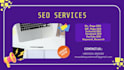 provide professional SEO to rank your website and business