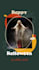 create halloween instagram video stories
