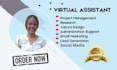be your executive personal virtual assistant