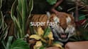 create stomp promo video ad
