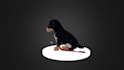 do 3d miniature, 3d modeling, 3d crystal engraving , 180 modeling