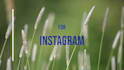 create short promo video ads for social media