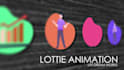 make a lottie animation based on your source vector design