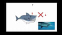 paint explainers video, stickman video and drawing animation