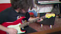 record pro studio quality electric, acoustic, spanish guitar