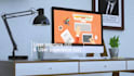 create responsive ecommerce and business wordpress website