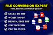 do pdf to excel or word, data entry, file conversion and fillable pdf form