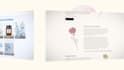 build a high end wordpress website for your brand