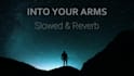 slow and reverb any song in 24 hours