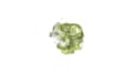 clear nature logo animation