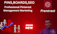 be your pinterest marketing manager and tailwind expert