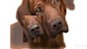 draw digital pet illustration