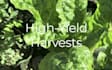 hydroponic vertical system design fix optimize