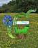 customize 2d and 3d logo animation, intro and outro video