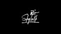 do professional logo signature animation and email signature