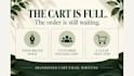 write abandon cart emails for your ecommerce store
