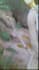 paint classic oil reproduction