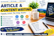 write SEO friendly articlescontent writing