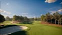 create golf course design, golf resort masterplan and 3d landscape rendering