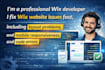 fix wix website issues, bug and troubleshooting