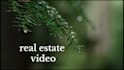 provide professional video editing