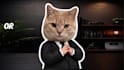 create a viral video blueprint and content strategy