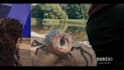 vfx fire explosion, horror, cgi explosions, destruction, smoke, rain, gun shot