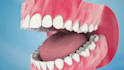 create realistic 3d dental impact and medical animation video